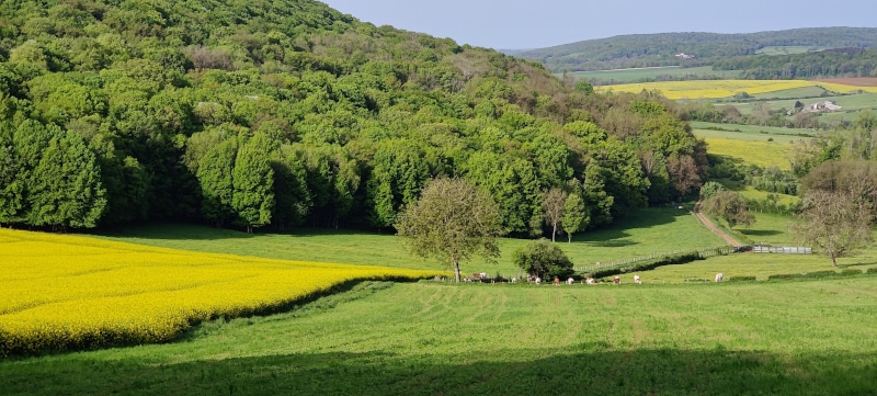 Overnachten in de natuur van de Haute SaÔne bij B&B A-Rigaud